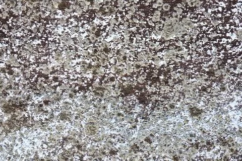 Corse Texture Wall Background Grey Fiber Stock Photos