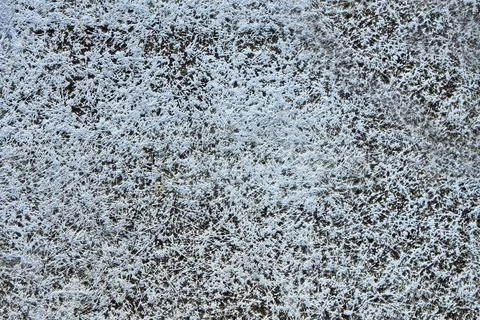 Corse Texture Wall Background Old Grey Stock Photos