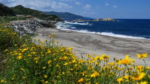 Corsica, Liamone beach Stock Footage 309762119