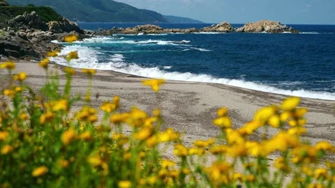 Corsica, Liamone beach Stock Footage 309762154