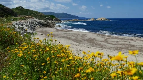Corsica, Liamone beach Stock Footage 309762162
