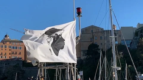 Corsican - flag Stock Footage 126281037