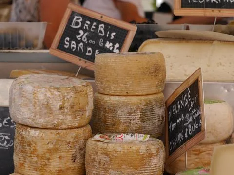 Corsican Tomme de brebis cheese on food stall in local market, Corsica Stock Photos