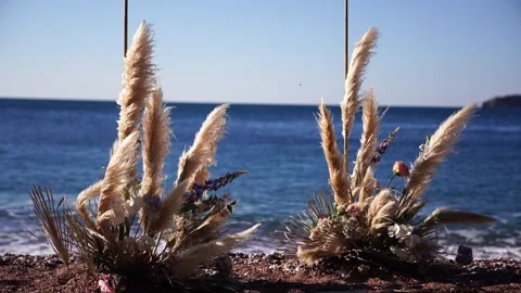 Cortaderia wedding arch flutters in the wind on the seashore Video stock 269119225