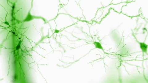 Cortex neurons Vídeos de archivo 75604083