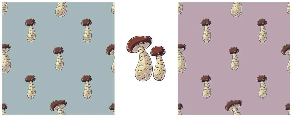 Cortinarius esculentus. Set Seamless pattern for kitchen, restaurant or shop. Stock Illustration