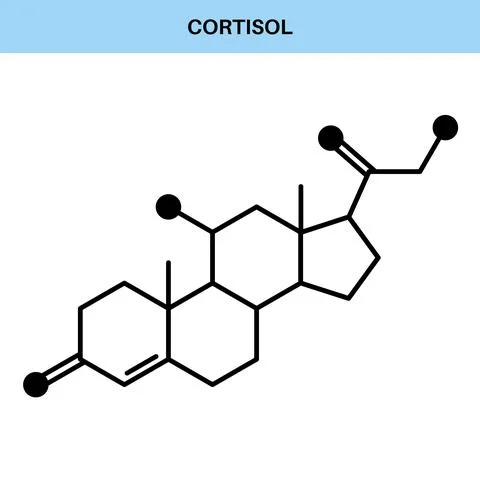 Cortisol chimical formula Illustrazione stock
