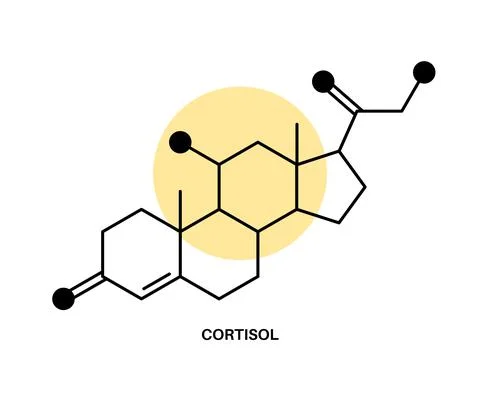 Cortisol chimical formula Illustrazione stock