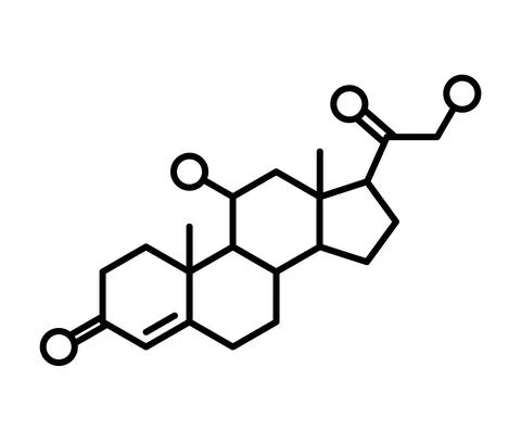 Cortisol chimical formula Stock Illustration
