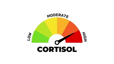 Cortisol Level Gauge Animation from Low to High, Stress Indicator Meter 库存影片 314754490