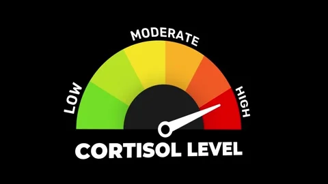 Cortisol Level Gauge Animation Stress Hormone Medical Meter Indicator Stock Footage 334933697