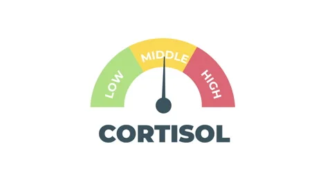 Cortisol level meter animation showing rising and falling stress hormone le.. Vídeo Stock 347886713
