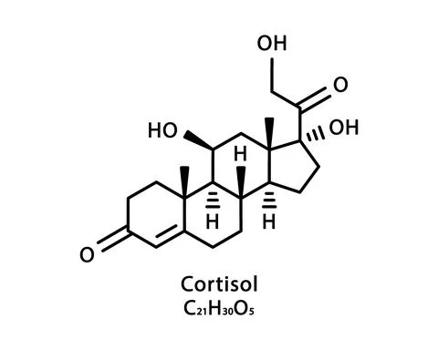 Cortisol molecular structure. Cortisol skeletal chemical formula. Chemical Stock Illustration