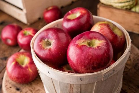 Cortland Apples Stock Photos