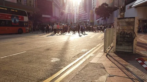 Corvid 19 Stock Footage 126946479