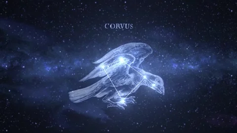 Corvus Constellation Star Map Animation Stock Footage 333275600