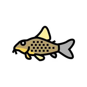 Cory catfish color icon vector illustration Stock Illustration