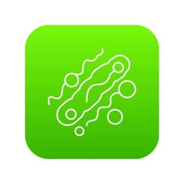 Corynebacterium icon green vector イラスト素材
