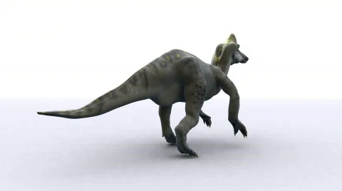 Corynthosaurus Stock Footage 736723