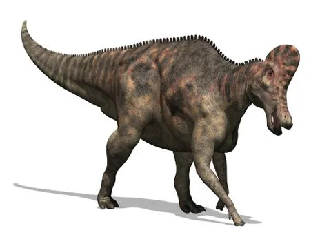 Corythosaurus Dinosaur 2 Stock Illustration