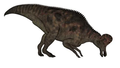 Corythosaurus dinosaur - 3D render Stock Illustration