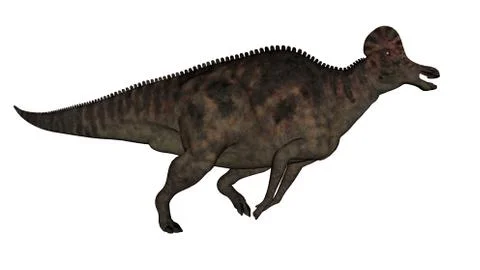 Corythosaurus dinosaur - 3D render Stock Illustration