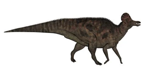 Corythosaurus dinosaur - 3D render Stock Illustration