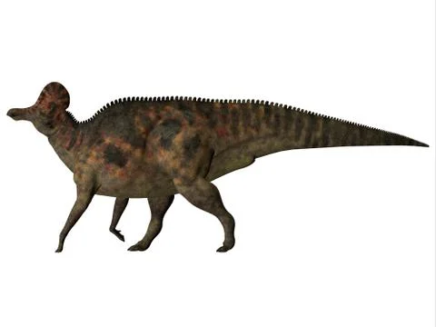 Corythosaurus on White 스톡 일러스트