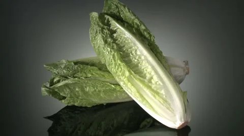 COS LETTUCE Vidéo 59006882