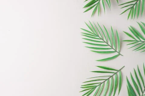 Cosmetic background with palm leaf on grey. Flat lay, copy space Stock Photos