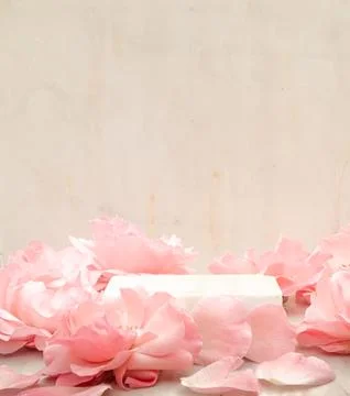 Cosmetic background with Rectangular marble podium and beautiful pink roses for Stock Photos