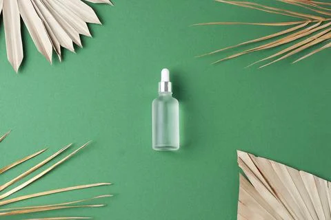Cosmetic bottle with palm leaf on green background. Flat lay, copy space Stock Photos