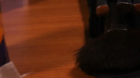 Cosmetic brushes Video stock 34636165