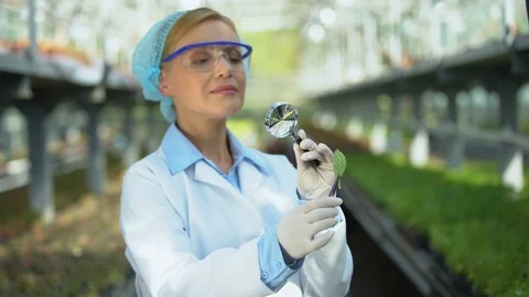 Cosmetic scientist examining leaf through magnifying glass, beauty industry Vídeo Stock 118936654