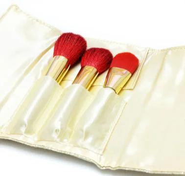 Cosmetics brush in case on white background Stock Photos
