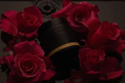 Cosmetics mockup with black container surrounded by fresh pink roses on dark Stock Photos