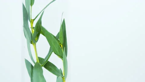 Cosmetics oils. Stock Footage 171239217