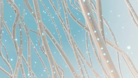 Cosmetics provide moisture and hydration and penetrate the skin. Stock Footage 313850824
