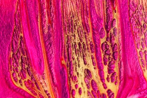 Cosmetics sample Stock Photos