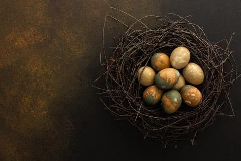 Cosmic Easter eggs in a nest Stock Photos