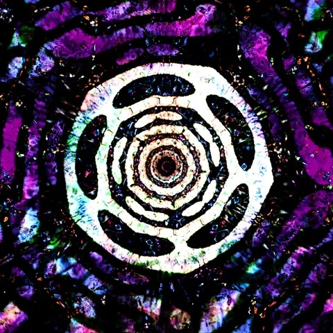 Cosmic flower 스톡 동영상 309313941