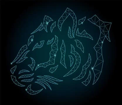 Cosmic low poly art with tiger head Stock Illustration