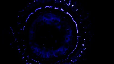 Cosmic Waves Moving Through Space In Inspiring Colors Vidéo 102517130