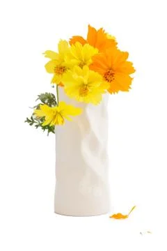 Cosmos flower Stock Photos