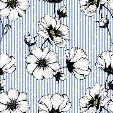 Cosmos flowers seamless pattern. Illustrazione stock