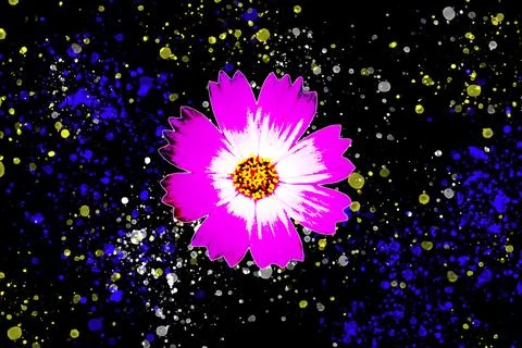 Cosmos Illustrazione stock