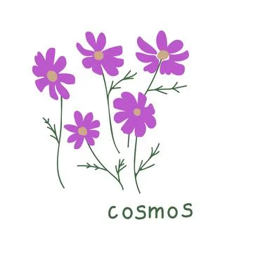 Cosmos vector illustration Stock Illustration