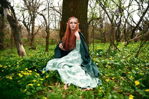 Cosplay girl elf in the forest Stock Photos
