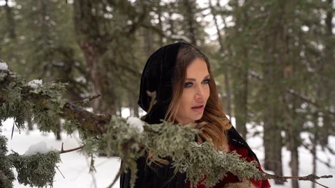 Cosplay model looking from behind the a in a winter forest Stock Footage 125800028