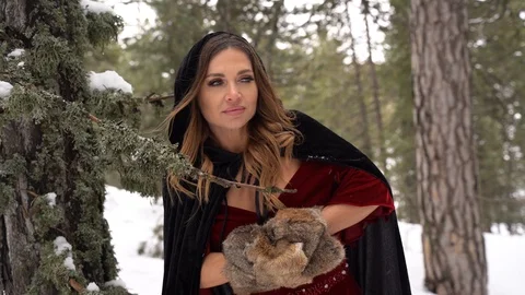 Cosplay model looking from behind the a in a winter forest Stock Footage 125800085